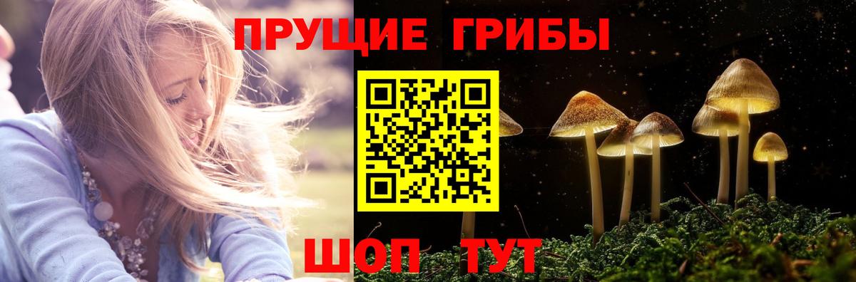 Хабаровск  Псилоцибиновые грибы Psilocybe  Галлюциногенные грибы Cubensis  Вход с VPN 